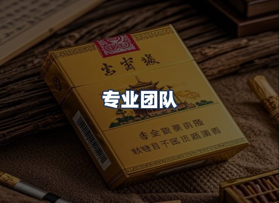 专业团队